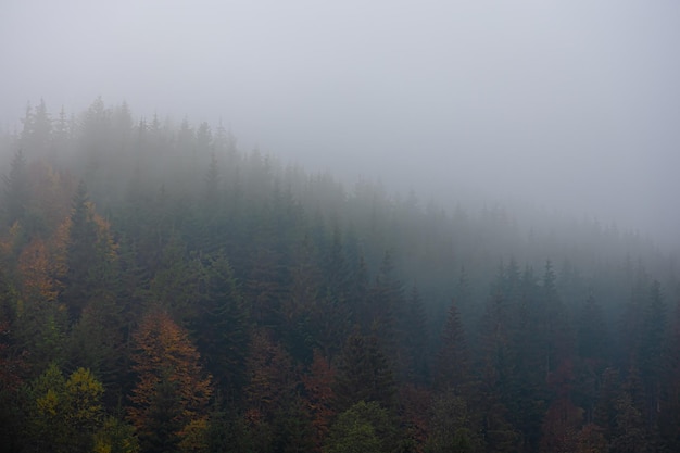 【新密地图,河南省新密地图】